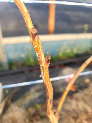 대박농부님의 자유주제 · 자유게시판 작성글 사진