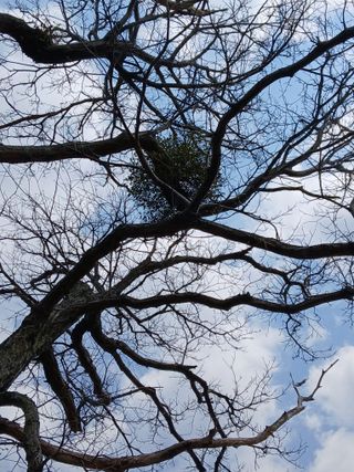 인생은 소풍처럼님의 자유주제 · 사진전 작성글 사진