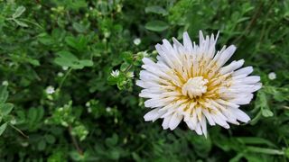 이정운님의 자유주제 · 자유게시판 작성글 사진