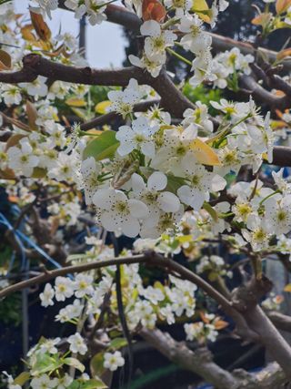 하나라도 소중하게님의 자유주제 · 자유게시판 작성글 사진