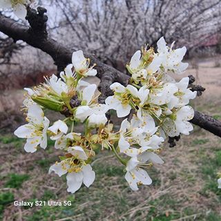 이천산수유님의 자유주제 · 자유게시판 작성글 사진