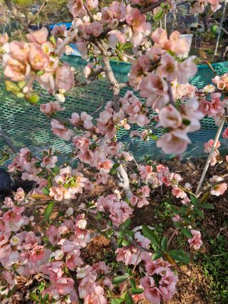 김재열님의 자유주제 · 자유게시판 작성글 사진