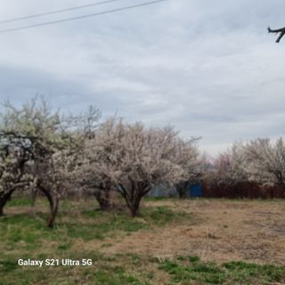 이천산수유님의 자유주제 · 자유게시판 작성글 사진