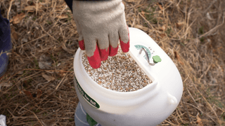 누보농장님의 자유주제 · 자유게시판 작성글 사진