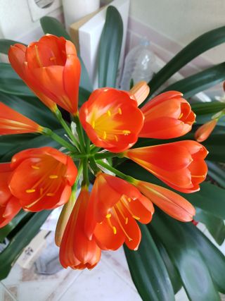 김경희님의 자유주제 · 자유게시판 작성글 사진