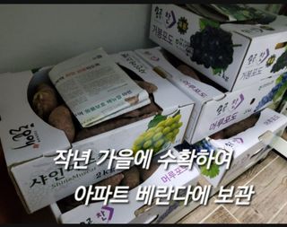 연모 자연의행복님의 자유주제 · 자유게시판 작성글 사진