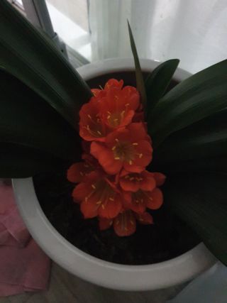 주옥님의 자유주제 · 자유게시판 작성글 사진