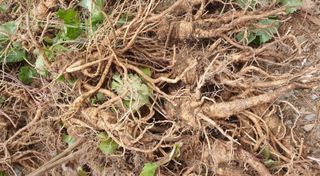 인생은 소풍처럼님의 작성글 사진