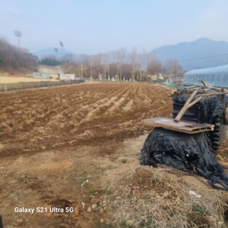 이천산수유님의 자유주제 · 자유게시판 작성글 사진