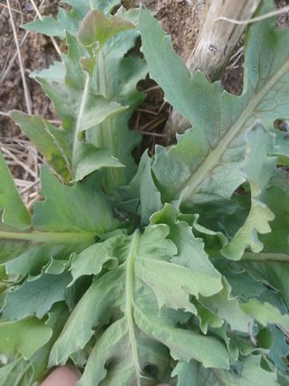 무료지식나눔 팜닥터님의 자유주제 · 자유게시판 작성글 사진