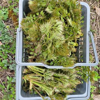 이형순님의 작성글 사진