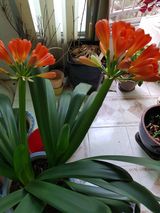 팜모닝 자유주제·자유게시판 게시글 이미지