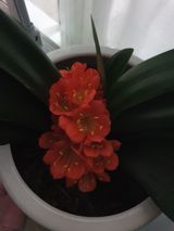 팜모닝 자유주제·자유게시판 게시글 이미지