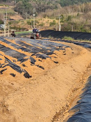 김영진(전남영광)님의 자유주제 · 자유게시판 작성글 사진
