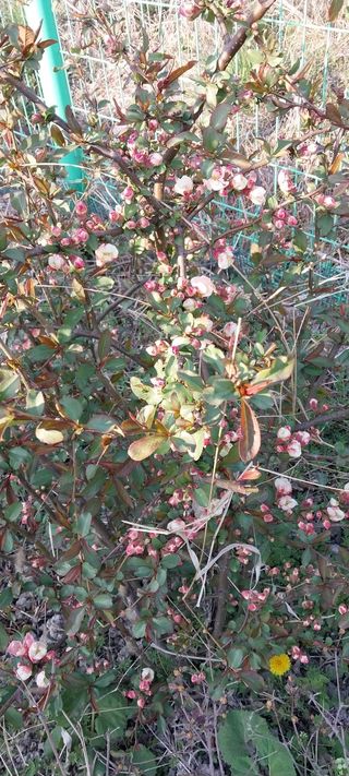 주말 텃밭 농부님의 자유주제 · 자유게시판 작성글 사진