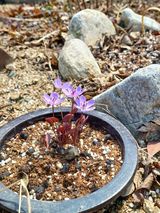 팜모닝 자유주제·자유게시판 게시글 이미지