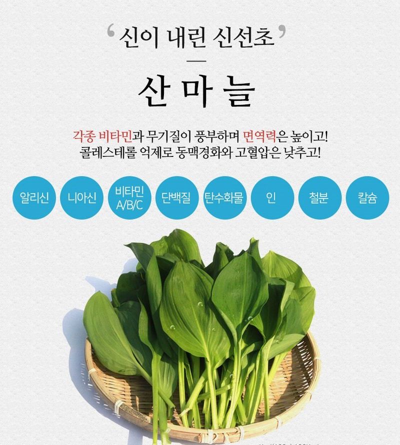 홍천산채농원님의 장터 판매 상품 [노지잎명이 1kg] 첨부 사진