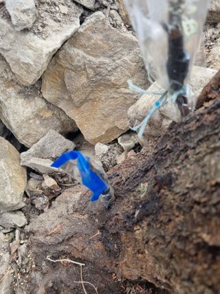 김용대님의 자유주제 · 자유게시판 작성글 사진