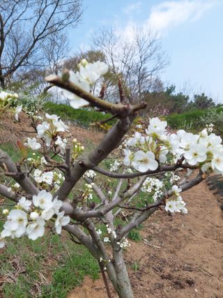 재연농장님의 자유주제 · 자유게시판 작성글 사진