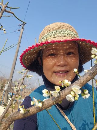 조정숙(1955)님의 자유주제 · 자유게시판 작성글 사진