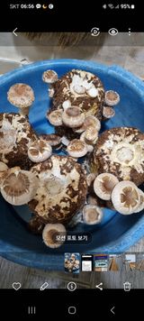 팜모닝 · 게시글 이미지