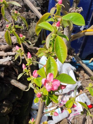 하나라도 소중하게님의 자유주제 · 자유게시판 작성글 사진
