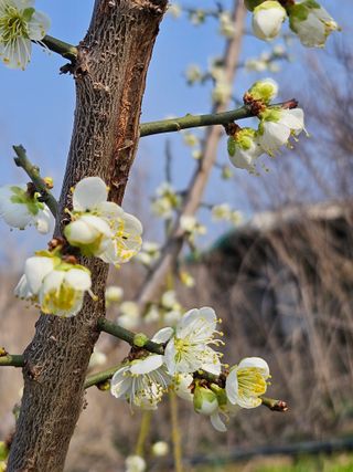 조정숙(1955)님의 자유주제 · 자유게시판 작성글 사진