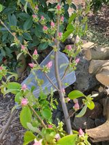 팜모닝 자유주제·자유게시판 게시글 이미지