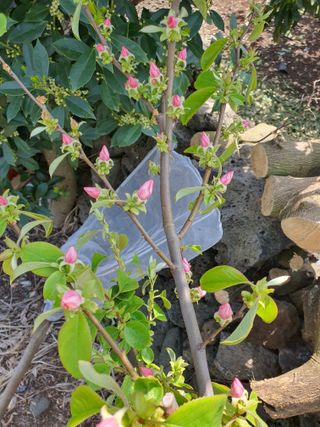 하나라도 소중하게님의 자유주제 · 자유게시판 작성글 사진