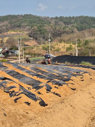 김영진(전남영광)님의 자유주제 · 자유게시판 작성글 사진