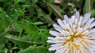 이정운님의 자유주제 · 자유게시판 작성글 사진