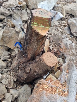 김용대님의 자유주제 · 자유게시판 작성글 사진