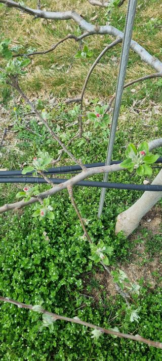 애플사랑님의 자유주제 · 자유게시판 작성글 사진