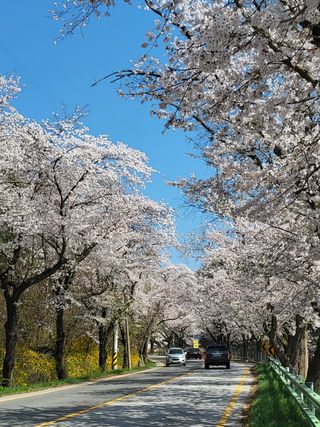 MSG0074님의 자유주제 · 자유게시판 작성글 사진