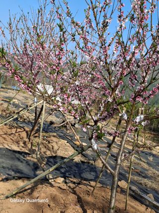 이세순님의 자유주제 · 자유게시판 작성글 사진