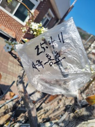 김용대님의 자유주제 · 자유게시판 작성글 사진