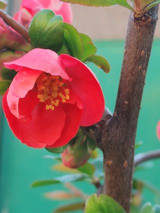 안길원님의 자유주제 · 자유게시판 작성글 사진