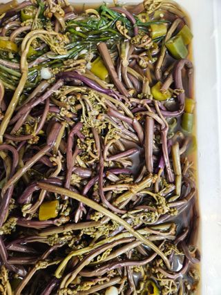 제주 지안이네농장님의 자유주제 · 자유게시판 작성글 사진