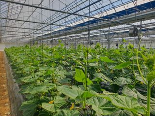 오이0213님의 자유주제 · 자유게시판 작성글 사진