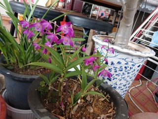 알 수 없음님의 자유주제 · 자유게시판 작성글 사진