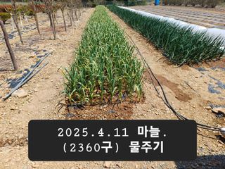 박성민님의 자유주제 · 자유게시판 작성글 사진