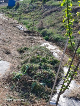 이세순님의 자유주제 · 자유게시판 작성글 사진