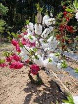 팜모닝 자유주제·자유게시판 게시글 이미지