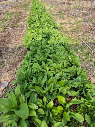 심재연님의 작성글 사진