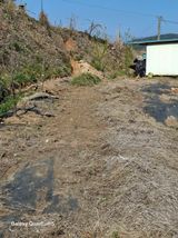 팜모닝 자유주제·자유게시판 게시글 이미지