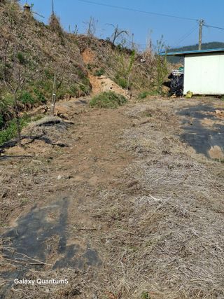 이세순님의 자유주제 · 자유게시판 작성글 사진