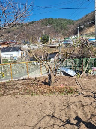 김용대님의 자유주제 · 자유게시판 작성글 사진