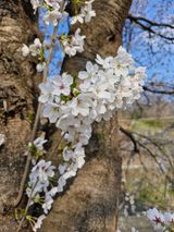 팜모닝 자유주제·자유게시판 게시글 이미지