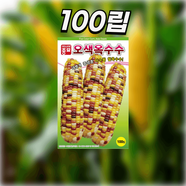 장터 상품 [농업마켓365 아시아종묘 옥수수 오색옥수수 100립] 썸네일