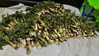 꿈 잇는 마을님의 작성글 사진